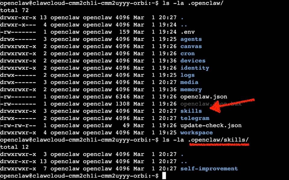 Terminal screenshot showing ~/.openclaw/ directory listing with skills/ folder visible alongside other OpenClaw directories