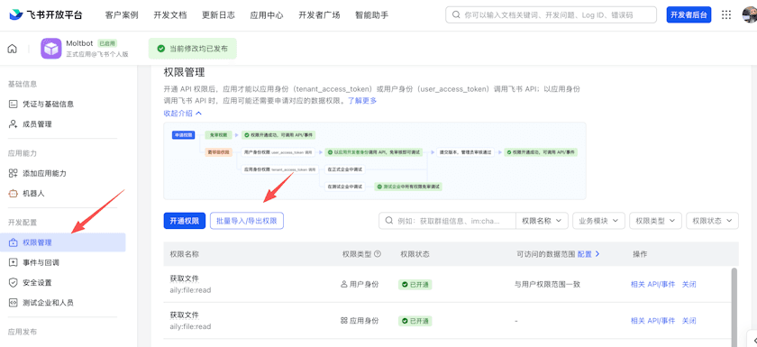 Feishu Permissions & Scopes page with batch import