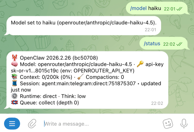 Switching to haiku model with /model haiku command