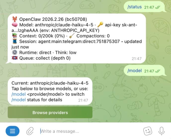 Checking active model in Telegram with OpenClaw commands