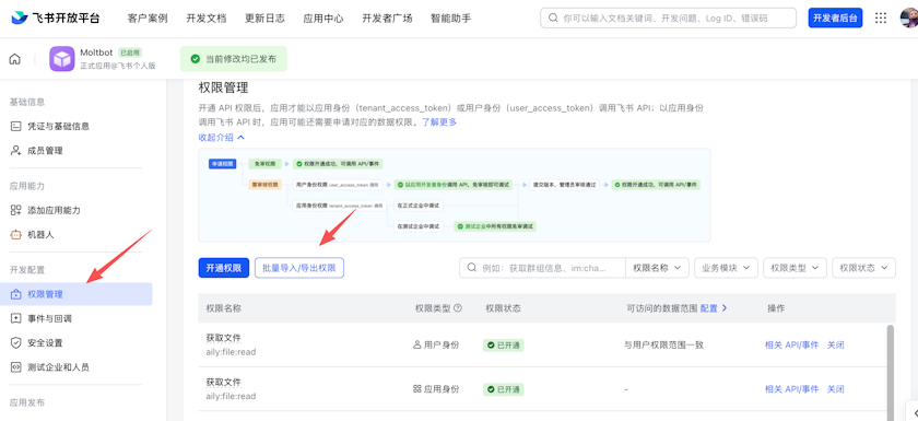 Feishu permissions page with batch import option Feishu Permissions & Scopes page with batch import