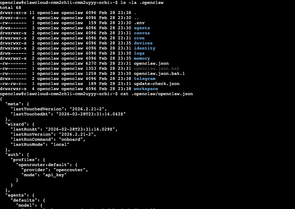 Terminal view of ~/.openclaw/openclaw.json with channel and model config sections visible Terminal showing the openclaw.json config file with channel, model, and DM policy sections